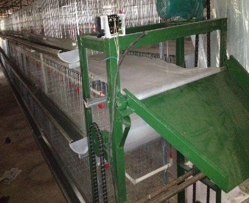 蛋鸡装备传送带式清粪机常见的这些问题你都知道吗？？