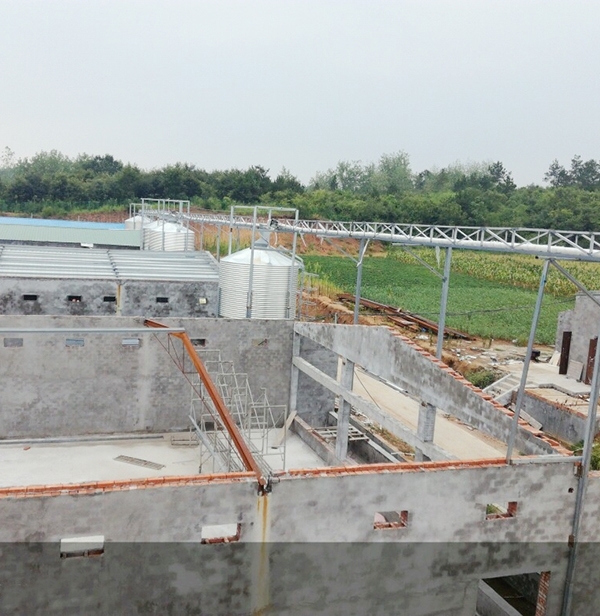 全自动养鸡装备应用现状与意义剖析