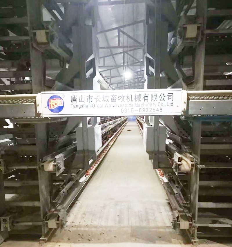 若是您想用自动化装备养蛋鸡，，哪些蛋鸡装备是必不可少的？？